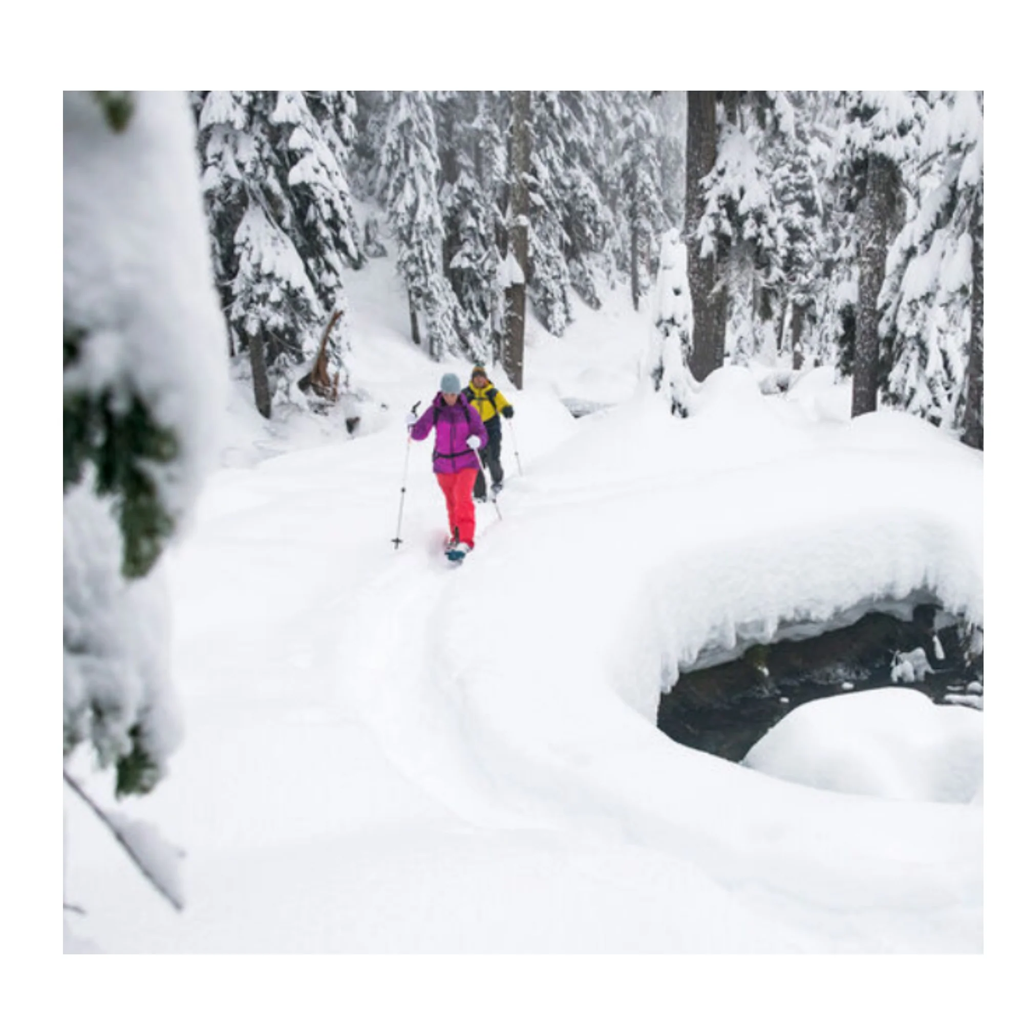MSR POLES DYNALOCK TRAIL - BASTONCINI A 2 SEZIONI ROBUSTI ANCHE PER LO SCI! 80 - 140 cm - Image 13