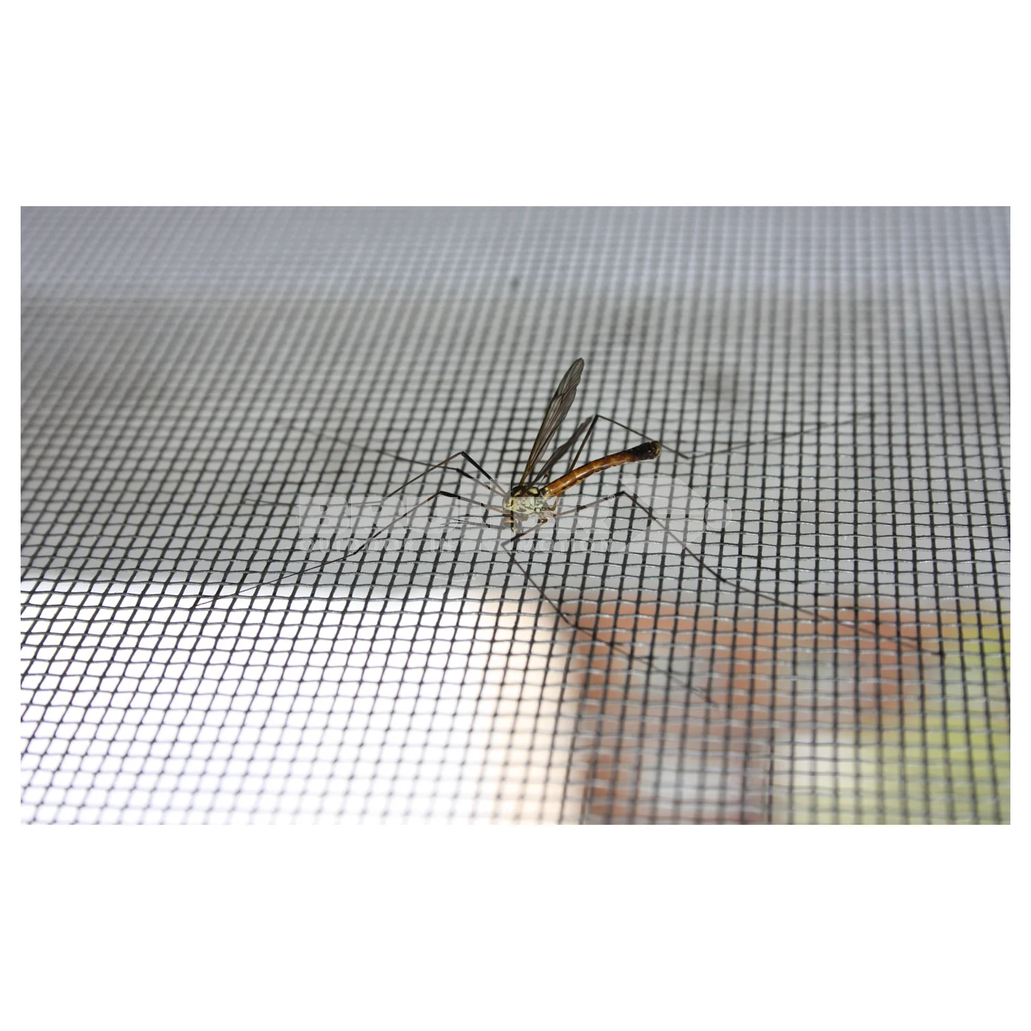 BRUNNER FLYNET MIDI Zanzariera aggiuntiva con telaio in alluminio per il Dometic Midi Heki con funzionamento a manovella. - Image 7