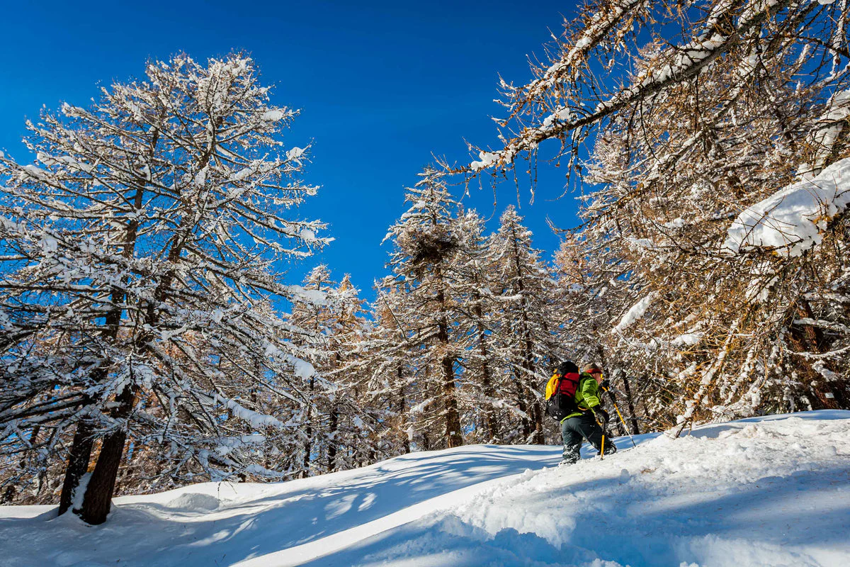 GRIVEL MONTEROSA SNOWSHOES CIASPOLA DA NEVE RIGIDA - DISPONIBILE IN 2 COLORI E 2 MISURE - Image 5