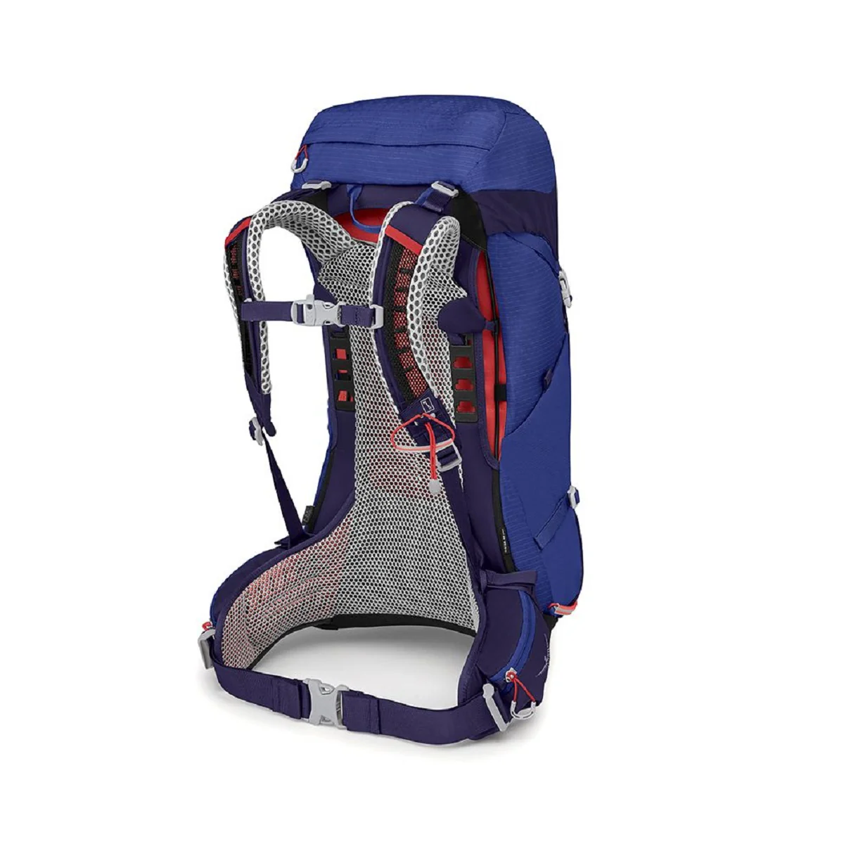 OSPREY SIRRUS 26 ZAINO CON SCHIENALE DONNA DA 26 LITRI DA HIKING/TREKKING ROBUSTO E VERSATILE - DISPONIBILE IN 2 COLORI - Image 5