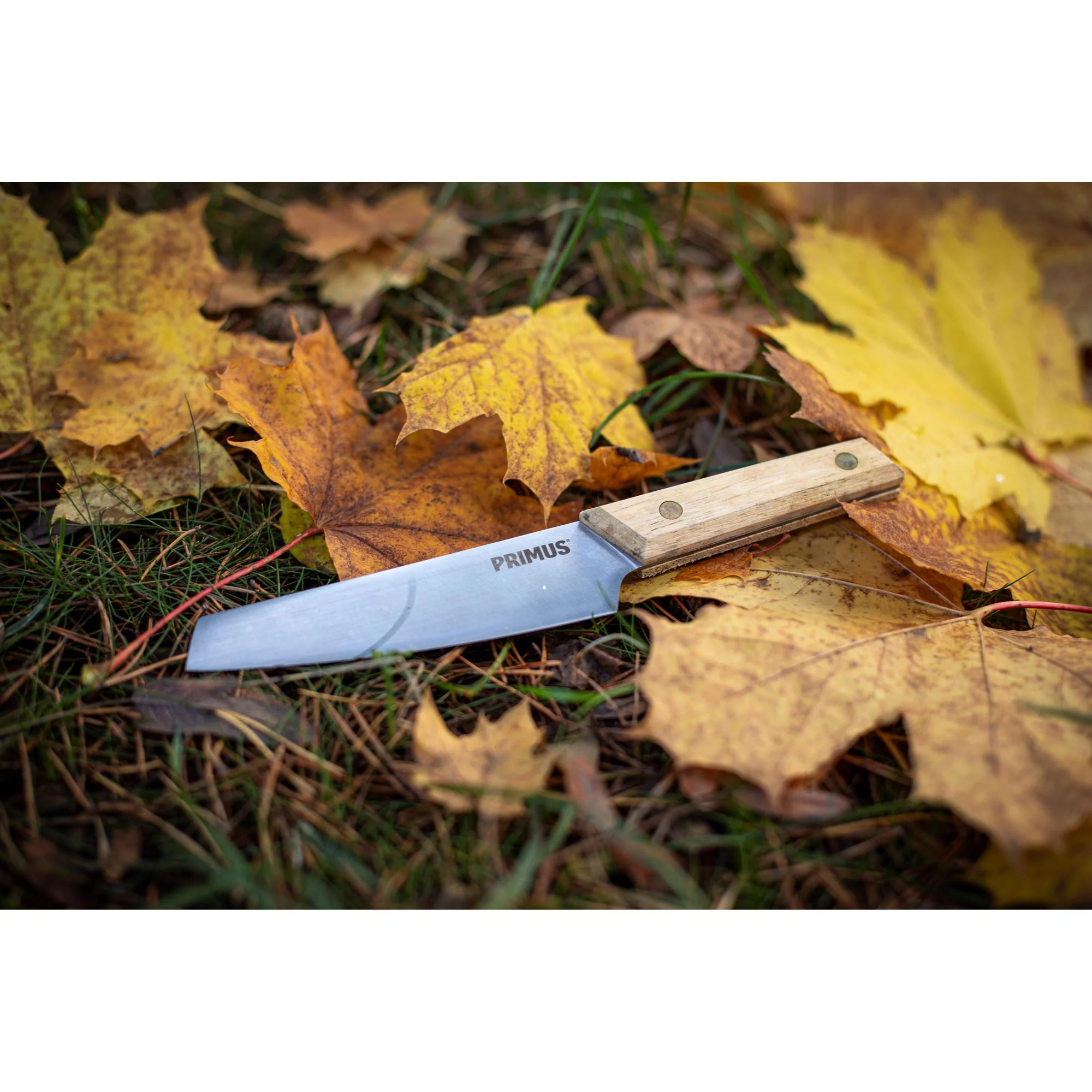 PRIMUS CAMPFIRE KNIFE Coltello 12 cm - Image 4